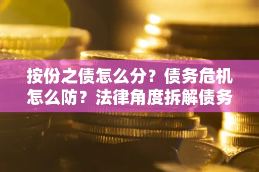 武汉按份之债怎么分？债务危机怎么防？法律角度拆解债务分配与风险自保指南