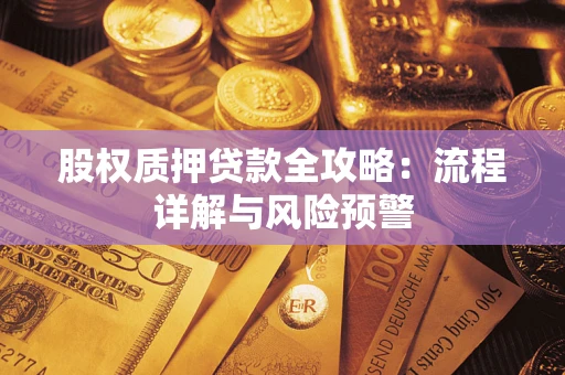 武汉股权质押贷款全攻略：流程详解与风险预警