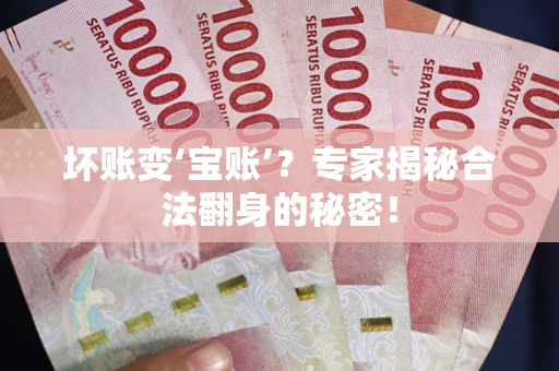 武汉坏账变‘宝账’？专家揭秘合法翻身的秘密！