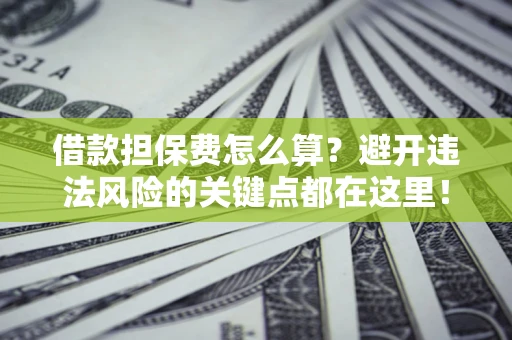 武汉借款担保费怎么算？避开违法风险的关键点都在这里！