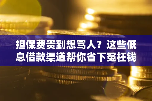 武汉担保费贵到想骂人？这些低息借款渠道帮你省下冤枉钱