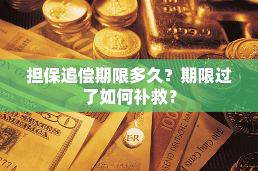 武汉担保追偿期限多久？期限过了如何补救？