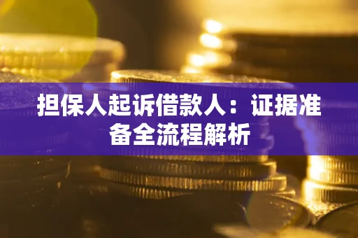武汉担保人起诉借款人：证据准备全流程解析