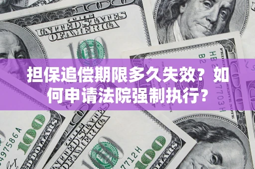 武汉担保追偿期限多久失效？如何申请法院强制执行？