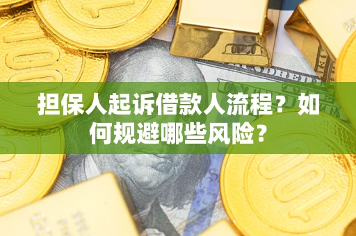 武汉担保人起诉借款人流程？如何规避哪些风险？