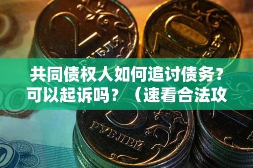 武汉共同债权人如何追讨债务？可以起诉吗？（速看合法攻略）