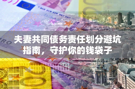 武汉夫妻共同债务责任划分避坑指南，守护你的钱袋子