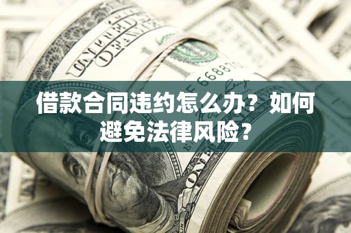 武汉借款合同违约怎么办？如何避免法律风险？