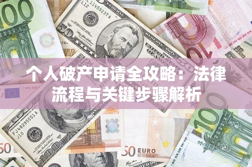 武汉个人破产申请全攻略：法律流程与关键步骤解析