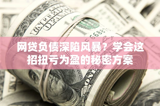武汉网贷负债深陷风暴？学会这招扭亏为盈的秘密方案