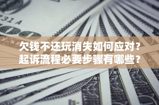 武汉欠钱不还玩消失如何应对？起诉流程必要步骤有哪些？